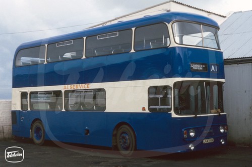 Bus photo a1 service - a1,