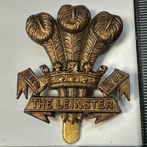 Prince wales leinster - wales's,