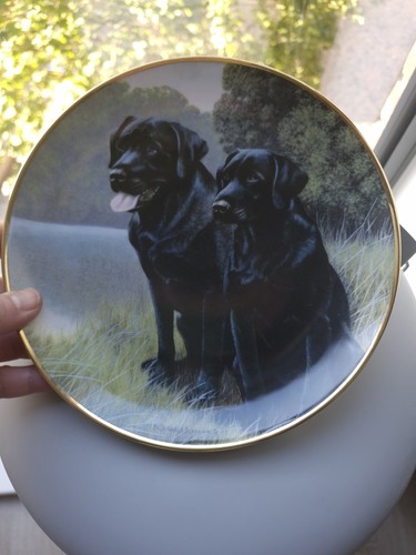 Black labradors plate - labradors,