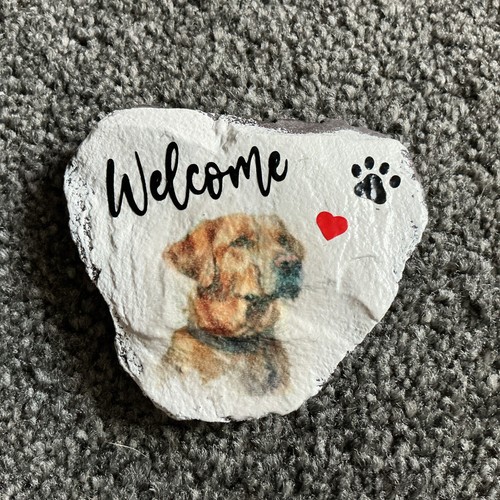 Golden labrador welcome - golden, “welcome”