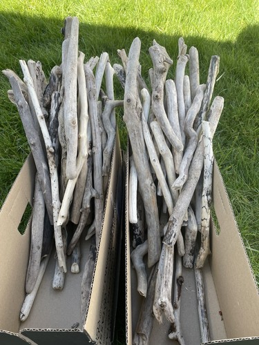 Driftwood pieces art - driftwood,