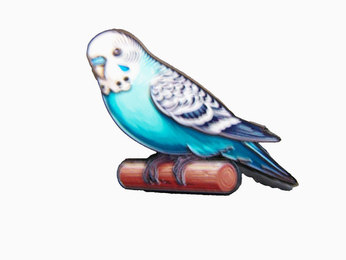 Beautiful blue budgie - a, enamel