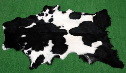 Luxury goat hide - hide, on