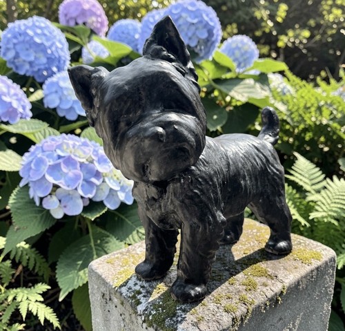 Well crafted yorkshire terrier