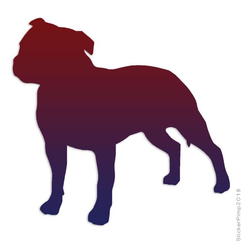 Staffordshire bull terrier - staffordshire,