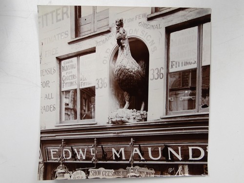 Edward maund shop 336 old - maund,