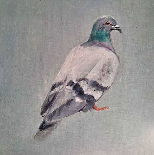 Original painting pigeon - original,