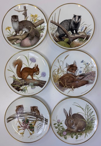 Set plates wedgwood - of, 6