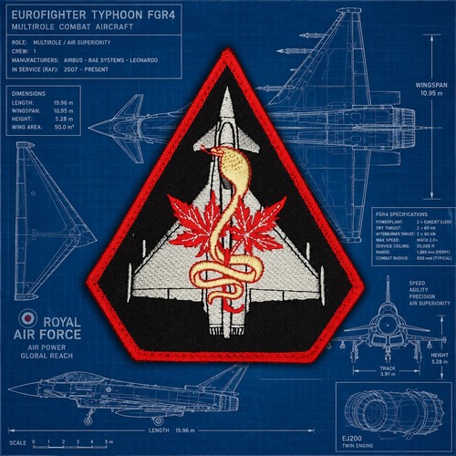 Raf tactics and training - raf,