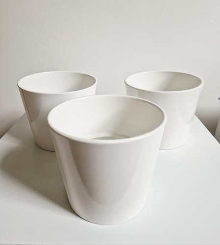 Ikea sojabona plant - x,