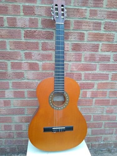 Encore acoustic guitar