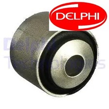 Lower outer rear - lower/,