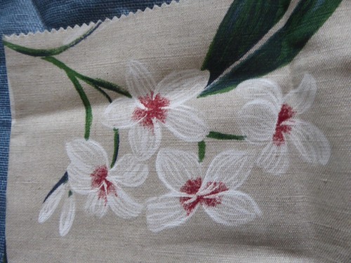 Sanderson oleander - sanderson,