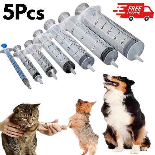 5pcs reusable big - 5pcs,