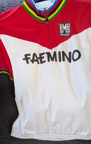 Santini faemino cycling shirt - faemino,