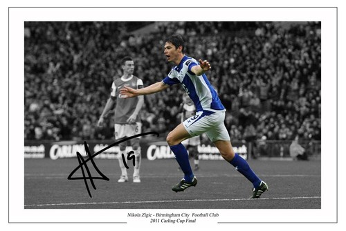 Nikola zigic birmingham city - nikola,