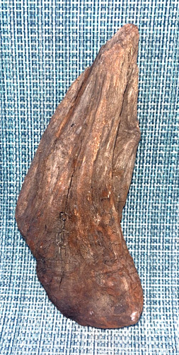 Manzanita natural driftwood - manzanita,