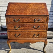 Beautiful 1900 burr walnut - burr,