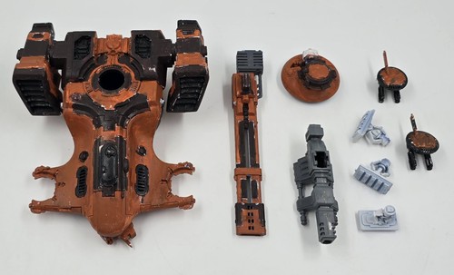 Tau hammerhead devilfish - tau,