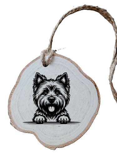 Cairn terrier dog - cairn,