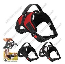 Dog Harness | No Pull Safety