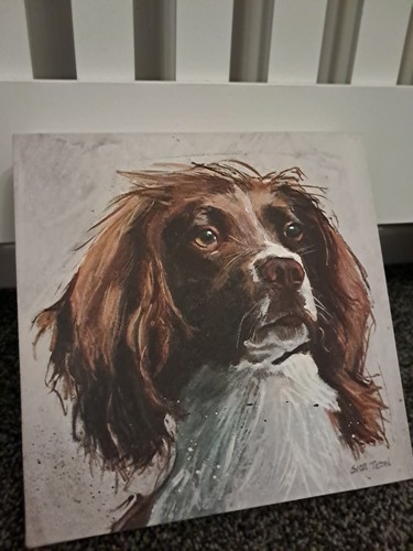 Box canvas picture springer - box,