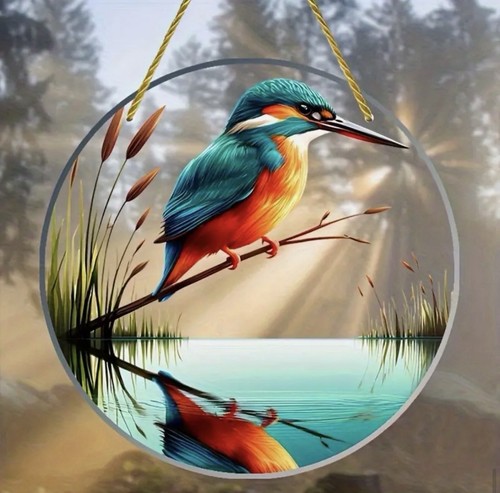 Kingfisher bird design - bird,
