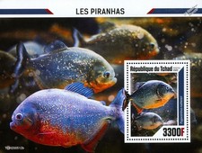 PIRANHAS Piranha Fish/Fishes