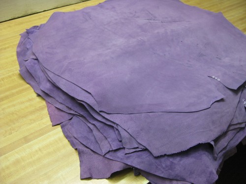 Suede wild boar - wild,