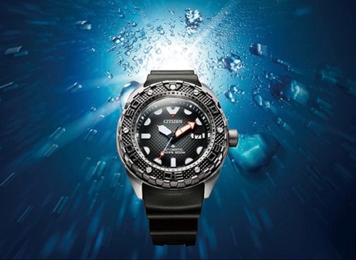 New citizen promaster - new,