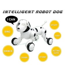 Smart dog sing - dog, dance