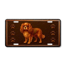 Elegant Cavalier King Charles
