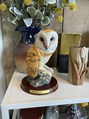 Leonardo collection barn owl - collection,