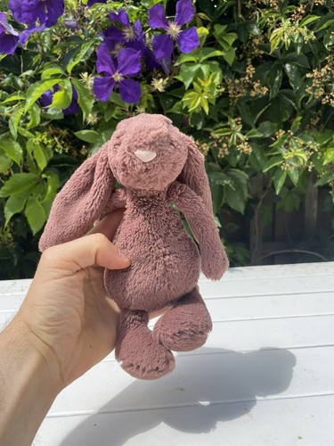 Jellycat bashful fudge - jellycat,