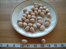 20x Wooden egg"WREN" Birch Hardwood, unfinished