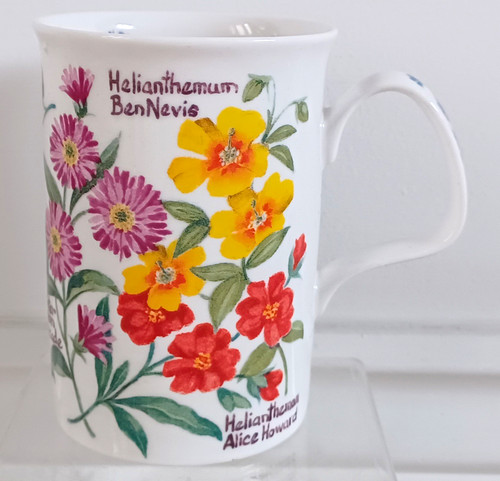 Roy kirkham garden flowers - garden,