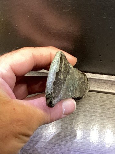Bronze axe head - ,