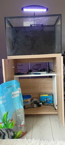 Aquamanta nano fish tank - fish,