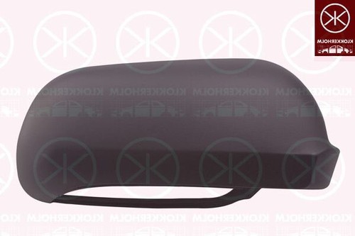 Door mirror cover fits - mirror,