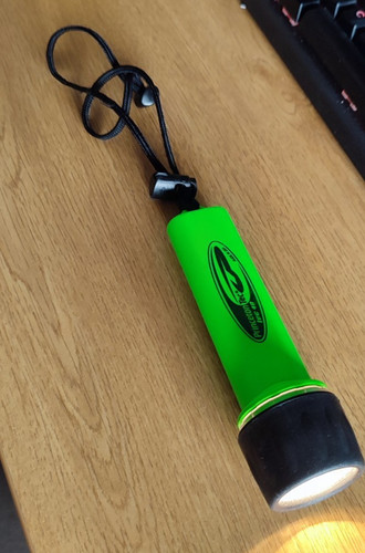 Beaver led dive - beaver,