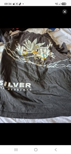 Silver the hedgehog sonic - the,
