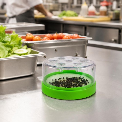 Automatic fly catcher killer - fly,