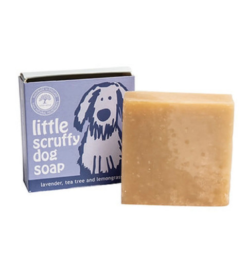 Little scruffy natural dog - little,
