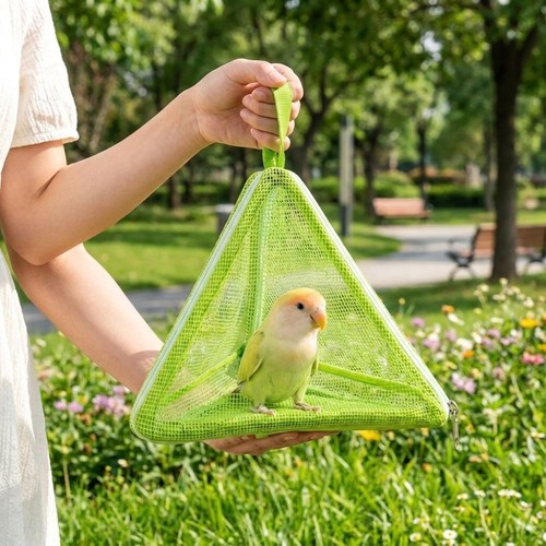 Large space bird - space,