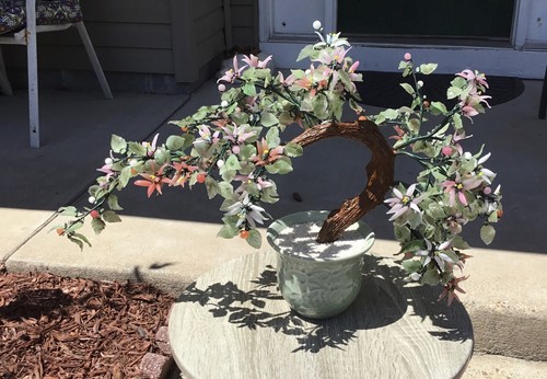 Vintage bonsai tree with jade - bonsai,