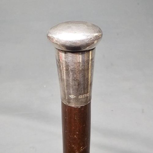 Old english cane - english,