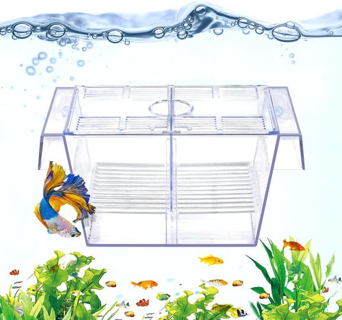 Datoo fish breeding - datoo, box