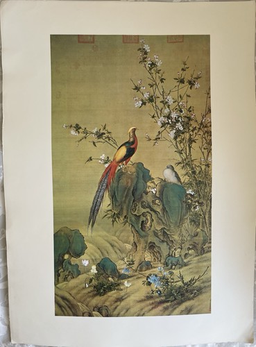Print pheasants among - “pheasants,