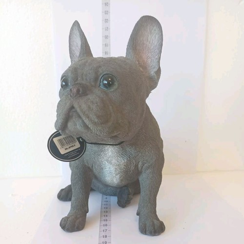 Vivid arts blue french - blue, bulldog