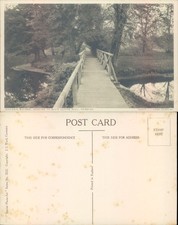 Wooden bridge leading to Guys